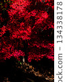 秋葉飄落 134338178