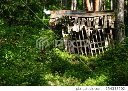 A dilapidated wooden hut in the forest A dilapidated wooden hut in the forest 134338202