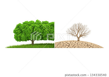 A vibrant green tree contrasts with a dry, leafless tree, symbolizing the impact of environmental changes. 134338540