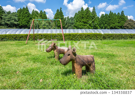 Haniwa Garden - Yamaga Decorative Burial Mound Museum - Kumamoto 134338837