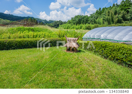 Haniwa Garden - Yamaga Decorative Burial Mound Museum - Kumamoto 134338840