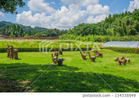 Haniwa Garden - Yamaga Decorative Burial Mound Museum - Kumamoto 134338849