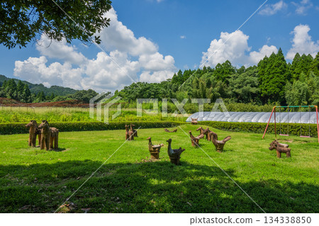 Haniwa Garden - Yamaga Decorative Burial Mound Museum - Kumamoto 134338850