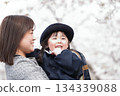 Cherry blossoms and a 3-year-old girl and her mother at the kindergarten entrance ceremony 134339088