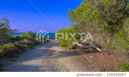 Peninsula de Llevant Natural Park, Spain 134339267