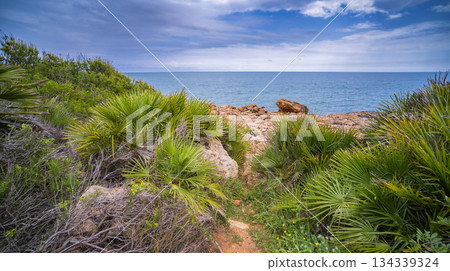 Sierra de Irta Natural Park, Spain 134339324