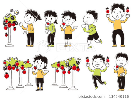 Strawberry picking 134340116