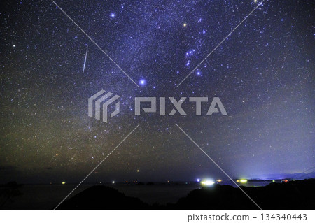 Geminids: Meteors of the Geminids, the Winter Triangle, and Canopus Geminids: Meteors of the Geminids, the Winter Triangle, and Canopus 134340443