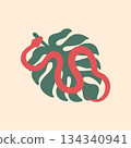 Red snake on monstera leaf. Vector illustration 134340941