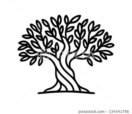 Stylized olive tree illustration in black and white line art. Stylized olive tree illustration in black and white line art. 134341798