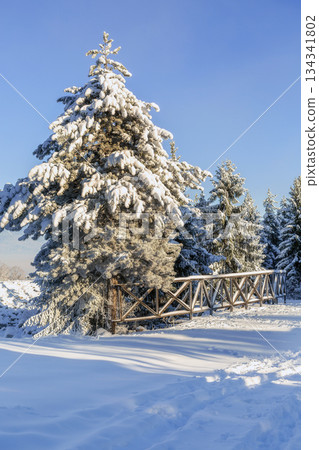 Ski resort Bansko, Bulgaria, winter bridge view Ski resort Bansko, Bulgaria, winter bridge view 134341802
