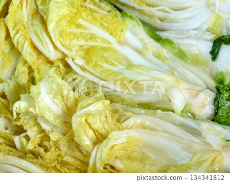 Salted napa cabbage for Kimjang Salted napa cabbage for Kimjang 134341812