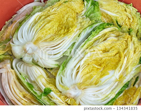 Salted napa cabbage for Kimjang Salted napa cabbage for Kimjang 134341835