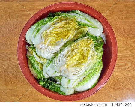 Salted napa cabbage for Kimjang Salted napa cabbage for Kimjang 134341844