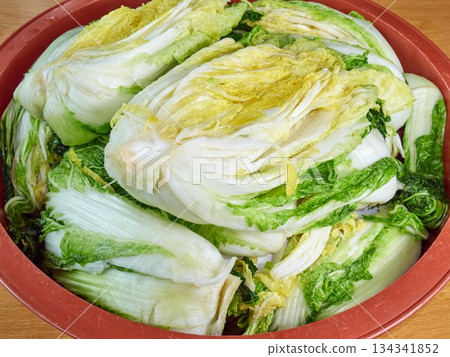 Salted napa cabbage for Kimjang Salted napa cabbage for Kimjang 134341852