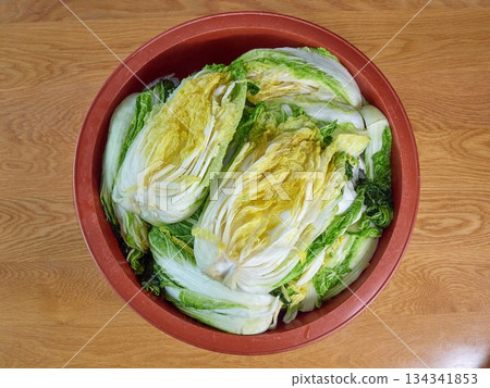 Salted napa cabbage for Kimjang 134341853