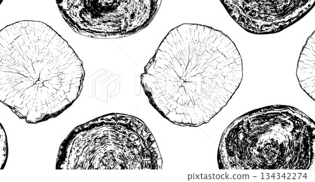 Wood cross section 134342274