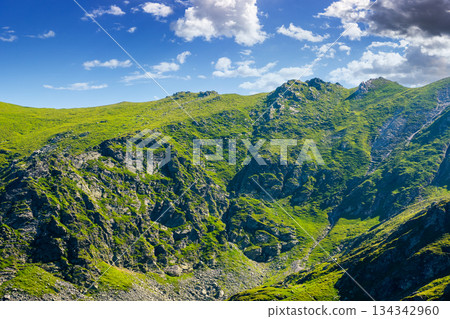 romania mountain landscape in summer. fagaras ridge on a sunny day under blue sky with clouds. alpine scenery with rocky peaks and steep slopes. horizontal travel background of scenic place for hiking romania mountain landscape in summer. fagaras ridge on a sunny day under blue sky with clouds. alpine scenery with rocky peaks and steep slopes. horizontal travel background of scenic place for hiking 134342960