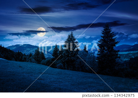 summer countryside scenery in mountains at night. beautiful landscape with spruce trees on the grassy meadow in full moon light. wonderful sky with clouds. finance investment or abstract concepts summer countryside scenery in mountains at night. beautiful landscape with spruce trees on the grassy meadow in full moon light. wonderful sky with clouds. finance investment or abstract concepts 134342975