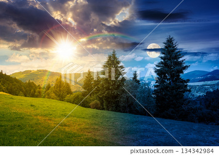 countryside scenery in mountains on summer solstice. day and night time change concept. beautiful landscape with spruce trees on the grassy meadow with sun and moon. sky harmony and progress calendar 134342984