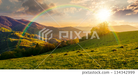 countryside scenery in mountains at sunset. beautiful landscape with meadow rolling through forested hill in evening light. wonderful springtime weather. storytelling cinematic image under the rainbow 134342999