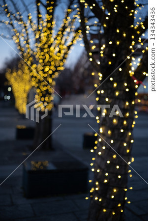 Trees and ground illuminated in gold light, night view (vertical composition, winter event, city) 134343436