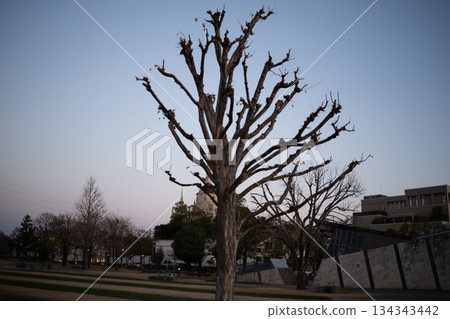 A winter landscape of bare trees and a city park, set against a twilight sky with its gradient colors. 134343442