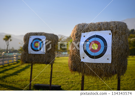 Archery target with arrow in evening light 134343574