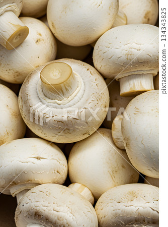 Fresh White Button Mushrooms Close Up Background Fresh White Button Mushrooms Close Up Background 134343825