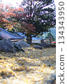 風景與秋天的落葉 134343950