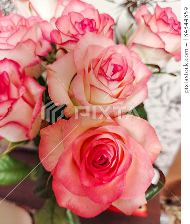 Pink and cream roses close up romantic bouquet vertical Pink and cream roses close up romantic bouquet vertical 134344359