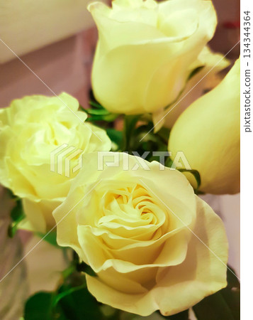 Delicate yellow roses bouquet close up vertical Delicate yellow roses bouquet close up vertical 134344364