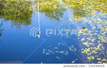 Reflection of trees and birdhouse on calm pond surface with floating leaves Reflection of trees and birdhouse on calm pond surface with floating leaves 134344428