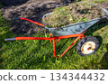 Wheelbarrow with garden waste on lawn after bed cleanup horizontal view 134344432