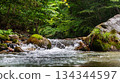Clear Mountain Stream Flowing over Mossy Boulders in Kinomata River, Tochigi, Japan 134344597