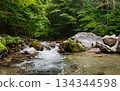 Clear Mountain Stream Flowing over Mossy Boulders in Kinomata River, Tochigi, Japan 134344598