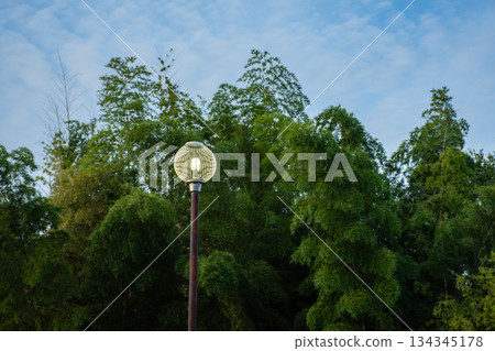 黃昏時分,圓形路燈和竹林燈火通明。 黃昏時分,圓形路燈和竹林燈火通明。 134345178