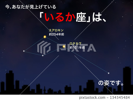 星座海豚 134345484