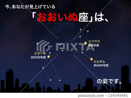 Constellation: Canis Major Constellation: Canis Major 134345491