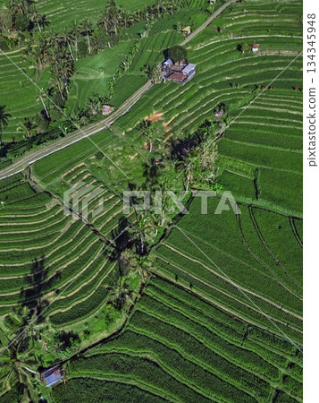 Terraced Rice Fields, Peaceful Rural Scene With Winding Roads And Green Paddies 134345948