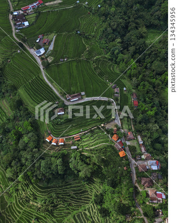 Idyllic Bali Countryside Featuring Winding Mountain Roads Idyllic Bali Countryside Featuring Winding Mountain Roads 134345956