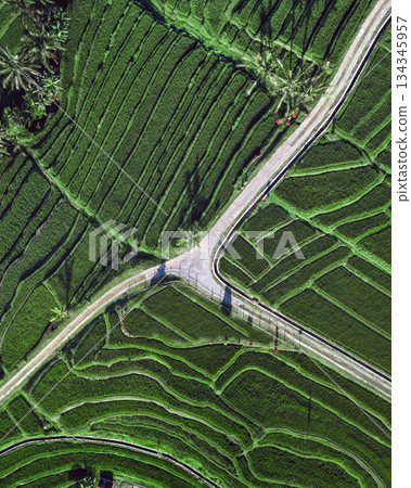 Aerial View Highlights Patterns And Tranquil Environment Of Rice Paddies Aerial View Highlights Patterns And Tranquil Environment Of Rice Paddies 134345957