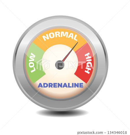 Adrenaline Level meter. Vector illustrations. Adrenaline Level meter. Vector illustrations. 134346018