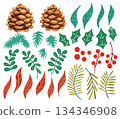 Winter botanical vector illustration set. Forest pine cones and seasonal greenery isolated on white background. Holly leaves and red berries, twigs, teal and red leaves for seasonal cards, wreath 134346908