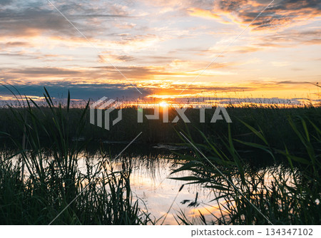 Sun sets over a quiet lake, the golden light reflects on the still water between the reeds. Sun sets over a quiet lake, the golden light reflects on the still water between the reeds. 134347102