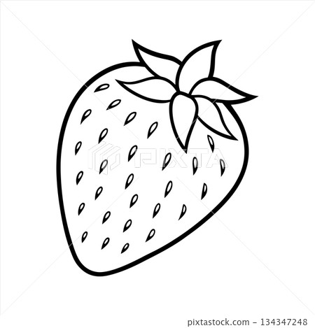 Strawberry Outline Fresh Fruit Black and White Illustration for coloring pages Strawberry Outline Fresh Fruit Black and White Illustration for coloring pages 134347248