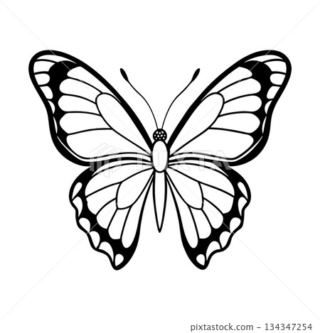 Elegant Butterfly Black and White Vector Illustration Isolated on White Background Elegant Butterfly Black and White Vector Illustration Isolated on White Background 134347254