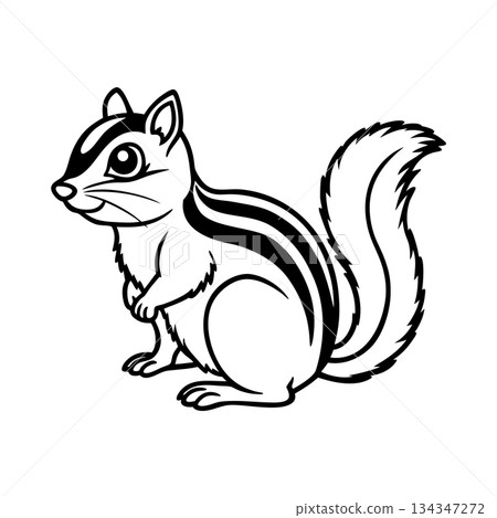 Cute Chipmunk Illustration in Black and White for Creative Projects 134347272
