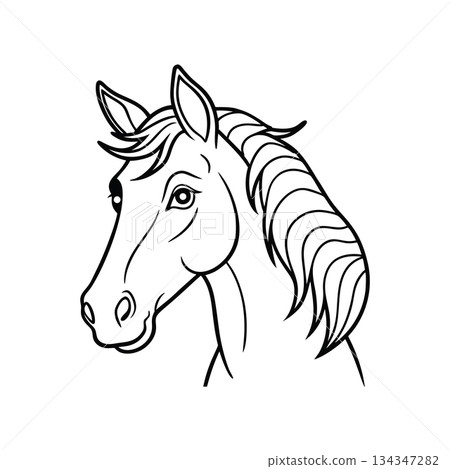 Elegant horse head illustration black outline for coloring page designs Elegant horse head illustration black outline for coloring page designs 134347282