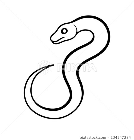 Simple snake line art illustration on white background for design element Simple snake line art illustration on white background for design element 134347284